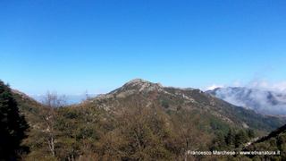 nte Scuderi-23-11-2014 09-47-48